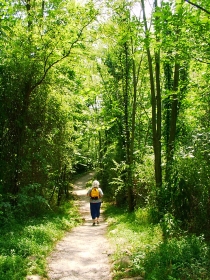 Wandern im Schwarzwald